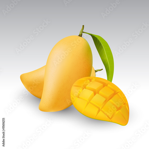 Fresh mango and a half of mango, fruit, transparent, Vector