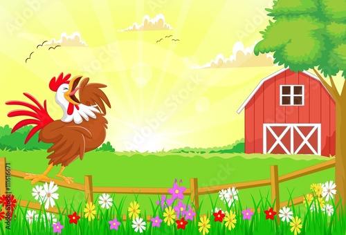 cute rooster crowing in the farm fence