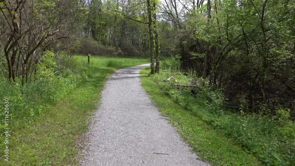 Quiet and secluded path going down center of forest. Quiet and secluded path going down center of forest.