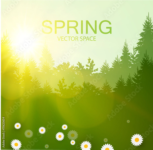 Vector illustration. Spa Resort or Beauty Business Background. Eco Design.