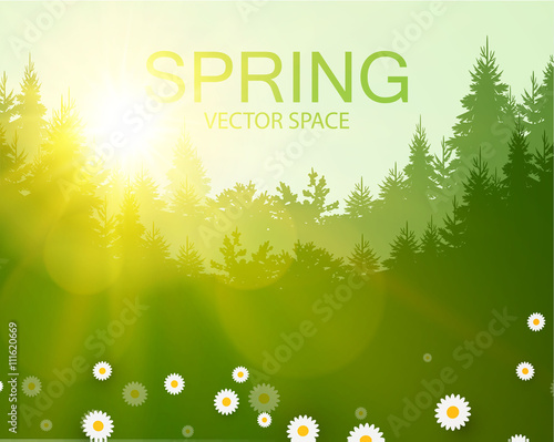 Vector illustration. Spa Resort or Beauty Business Background. Eco Design.