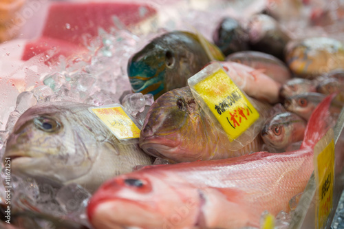 Different fish on ice for sale