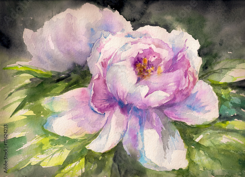 Obraz na płótnie Piękne różowe kwiaty piwonii, akwarela malarstwo