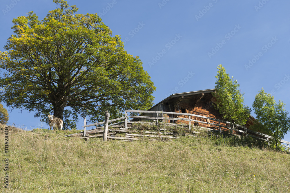 Schweiz, Landschaft bei Frutigen Schweiz, Landschaft bei Frutigen