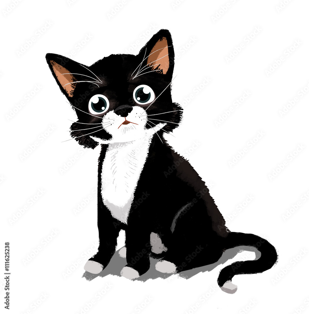 Gato pequeño. Dibujo de un gato de color blanco y negro Stock ...
