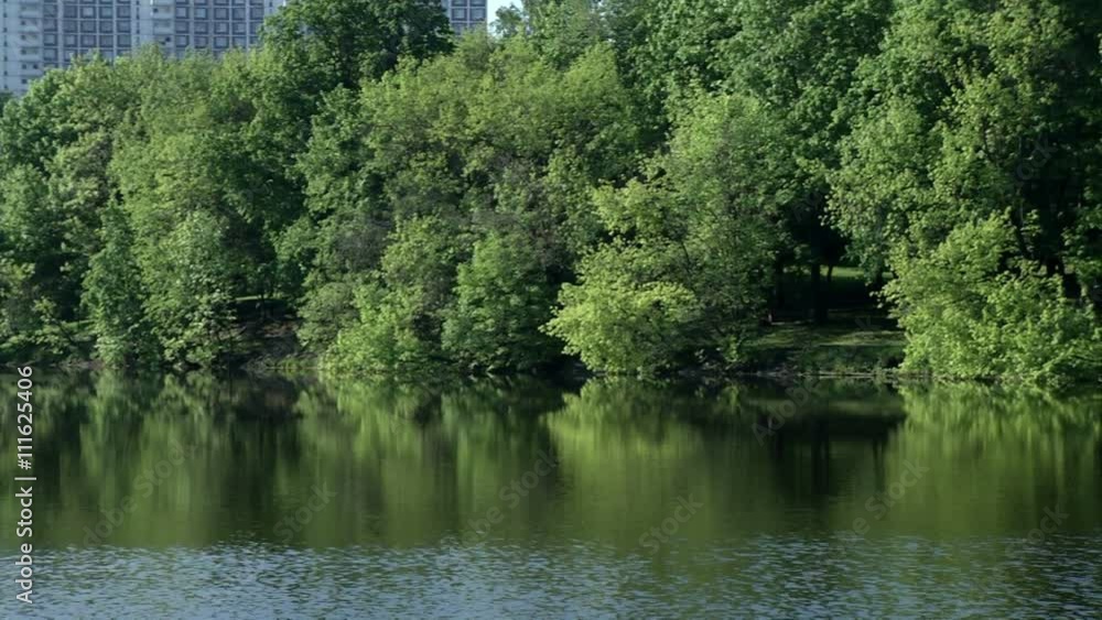 Pond and Green Bushes on the Bank Pond and Green Bushes on the Bank