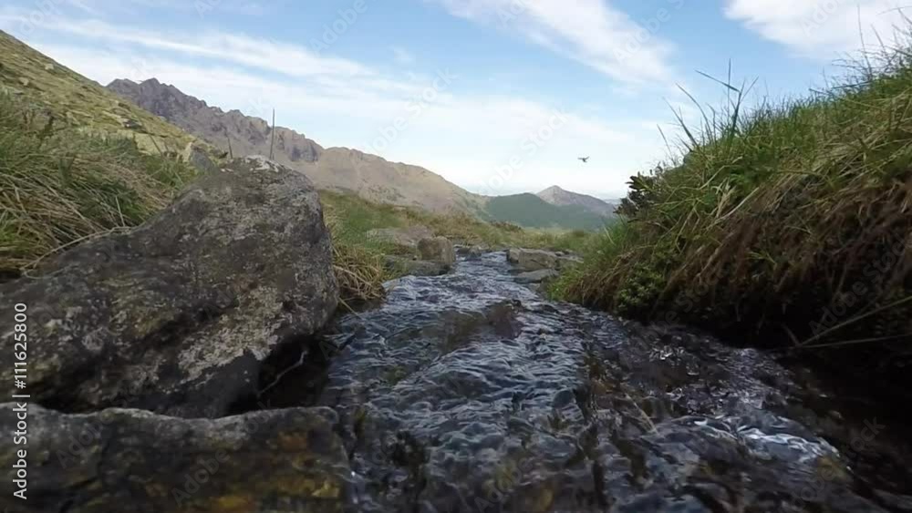 Little stream flowing in idyllic uncontaminated environment on the Italian Alps. Little stream flowing in idyllic uncontaminated environment on the Italian Alps.