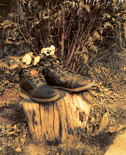 горшок для цветов