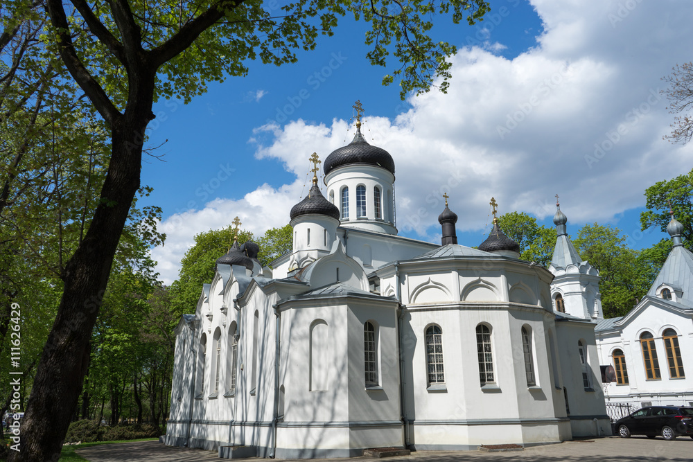 The Cathedral in honor of the Annunciation, Kaunas