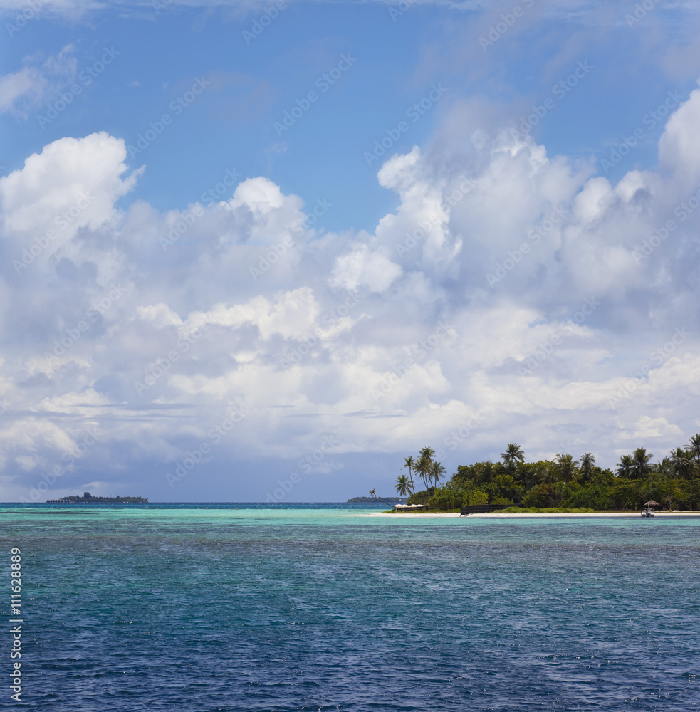 Malediveninsel mit Palmenstrand