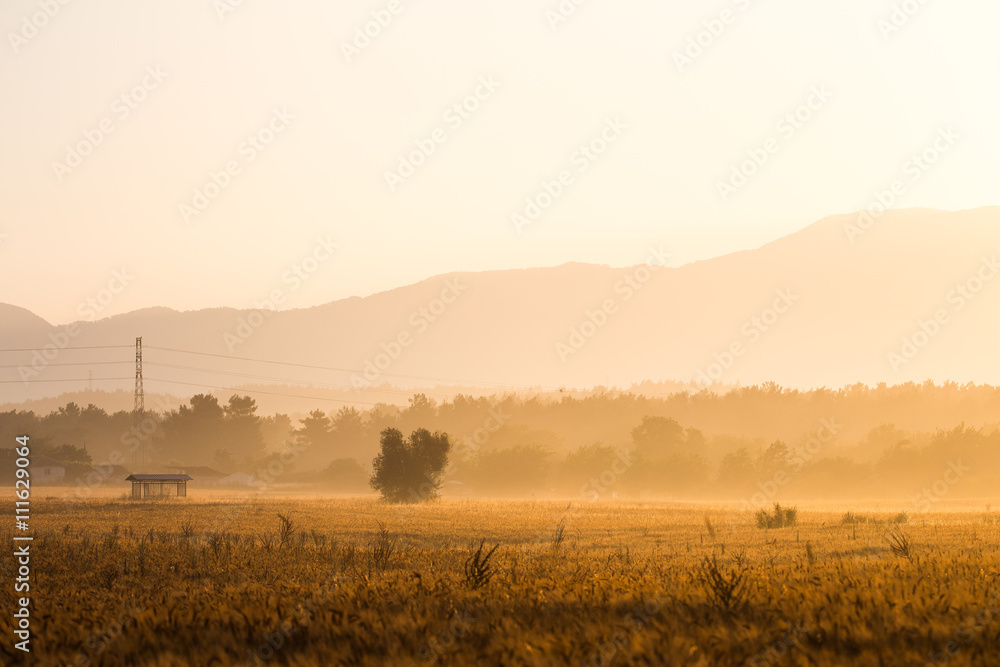 Fototapeta premium Summer morning over the fields and hills