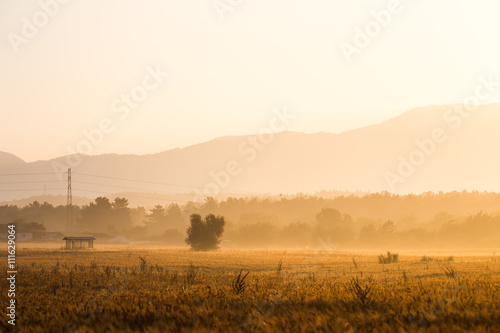 Summer morning over the fields and hills
