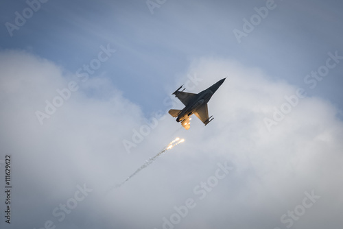 F 16, Polish forces during the demonstrations in Latkowo, 2016.0 photo