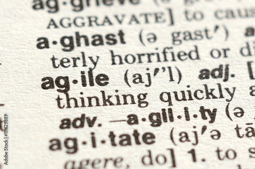 The Word Agile