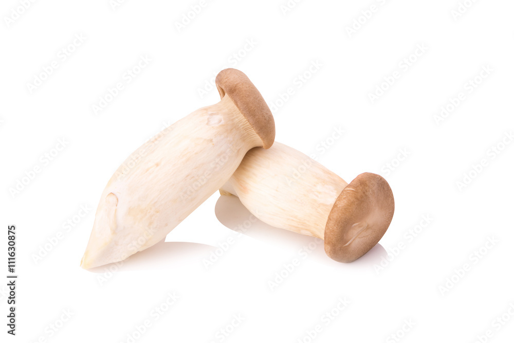 King Oyster mushroom (Eringi) on white backgroud King Oyster mushroom (Eringi) on white backgroud