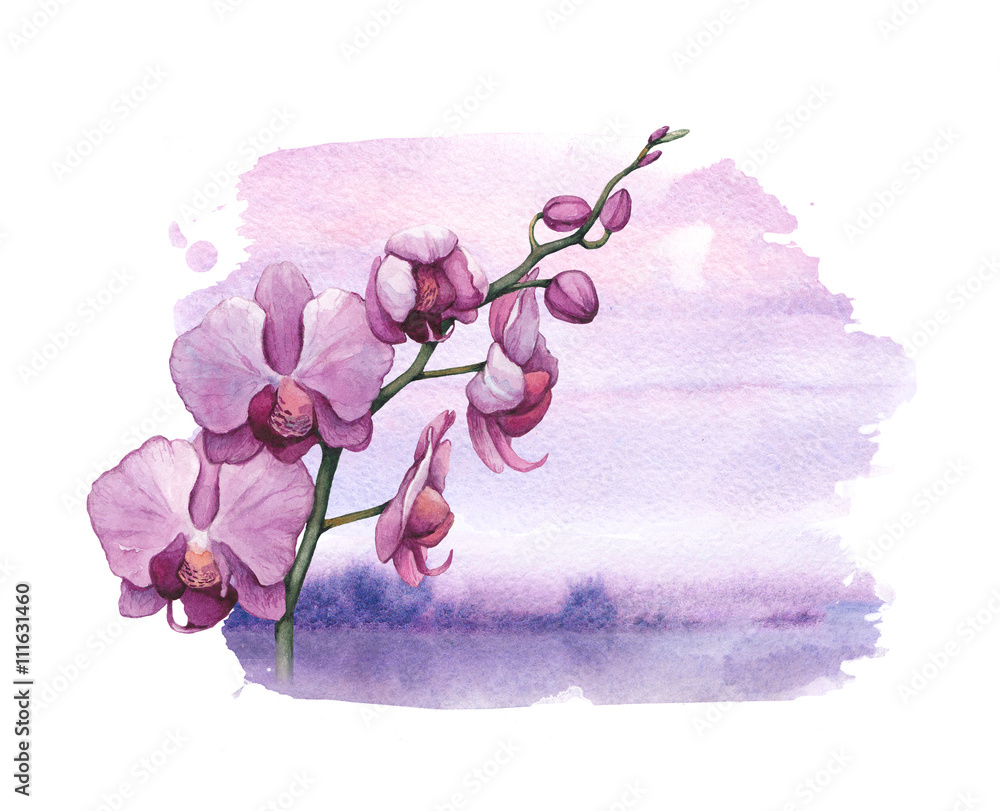 Naklejka premium Tło z akwarela kwiaty orchidei