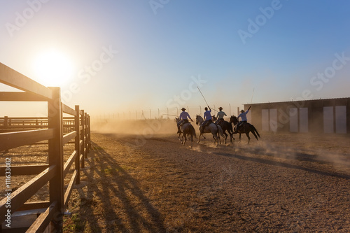Horses running in corral at sunset.