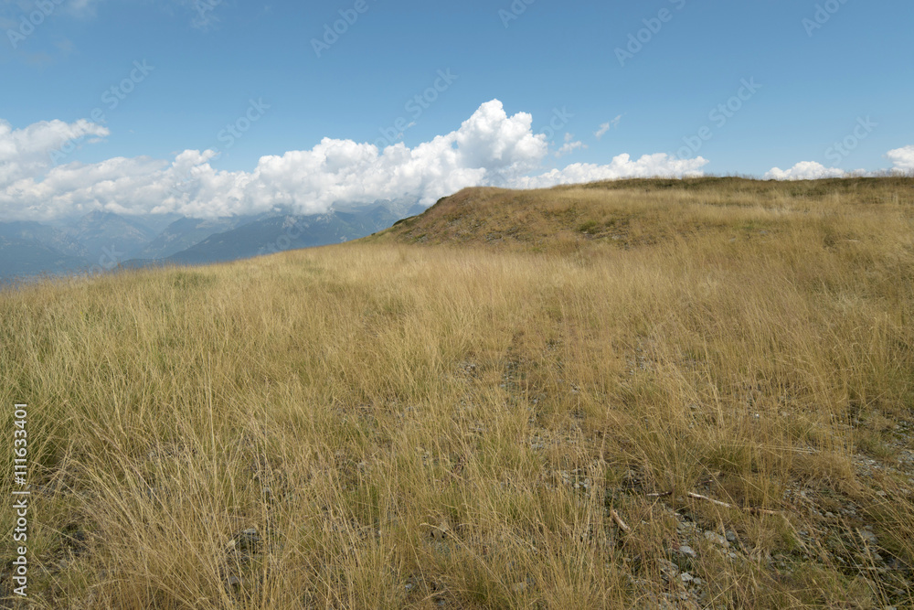 Schweizer Alpen Wiese, ein Ort zum Entspannen Schweizer Alpen Wiese, ein Ort zum Entspannen