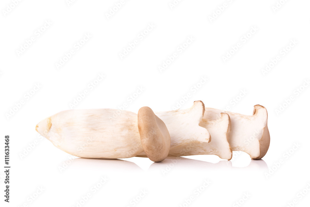 King Oyster mushroom (Eringi) on white backgroud King Oyster mushroom (Eringi) on white backgroud