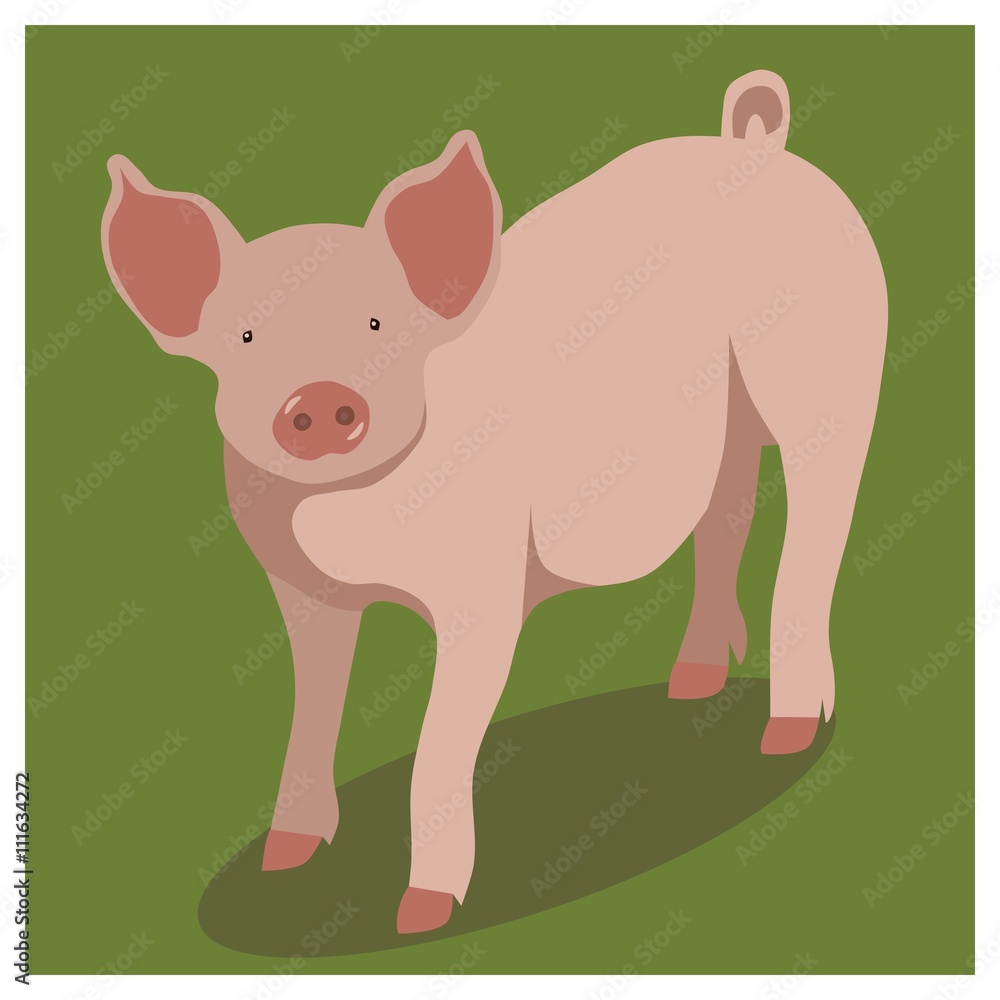 Fototapeta premium Animal pig on green, vector