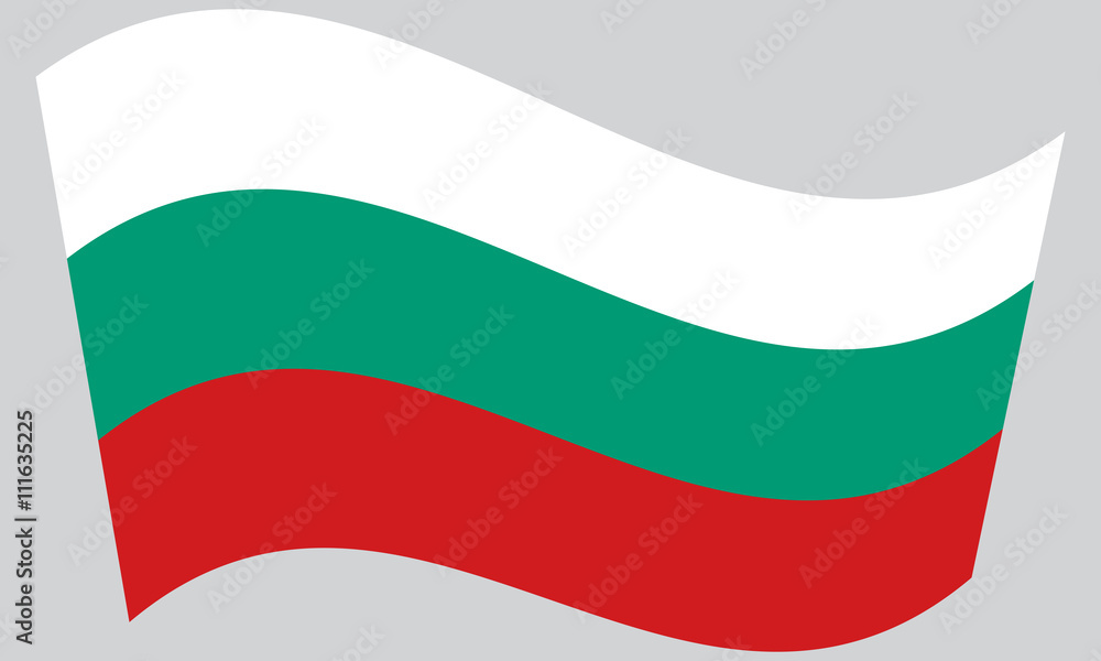 Flag of Bulgaria waving Flag of Bulgaria waving