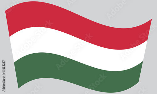 Free Download Flag of Hungary waving - GFXLoad