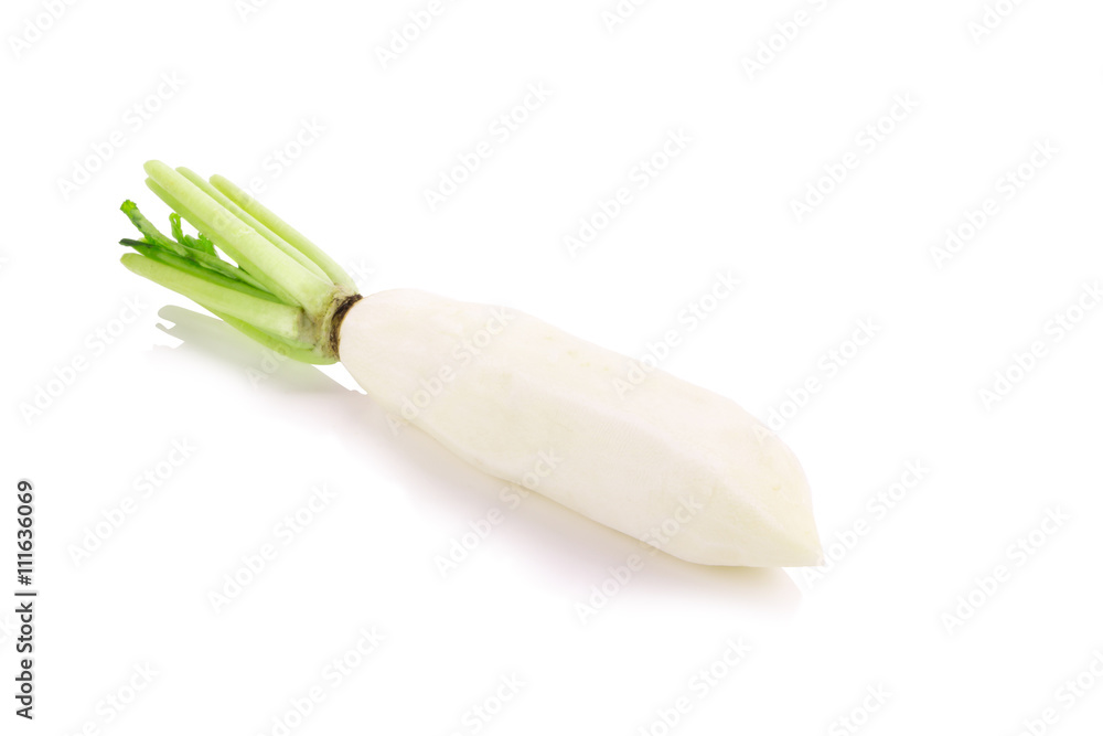 Daikon radishes isolated on white background Daikon radishes isolated on white background