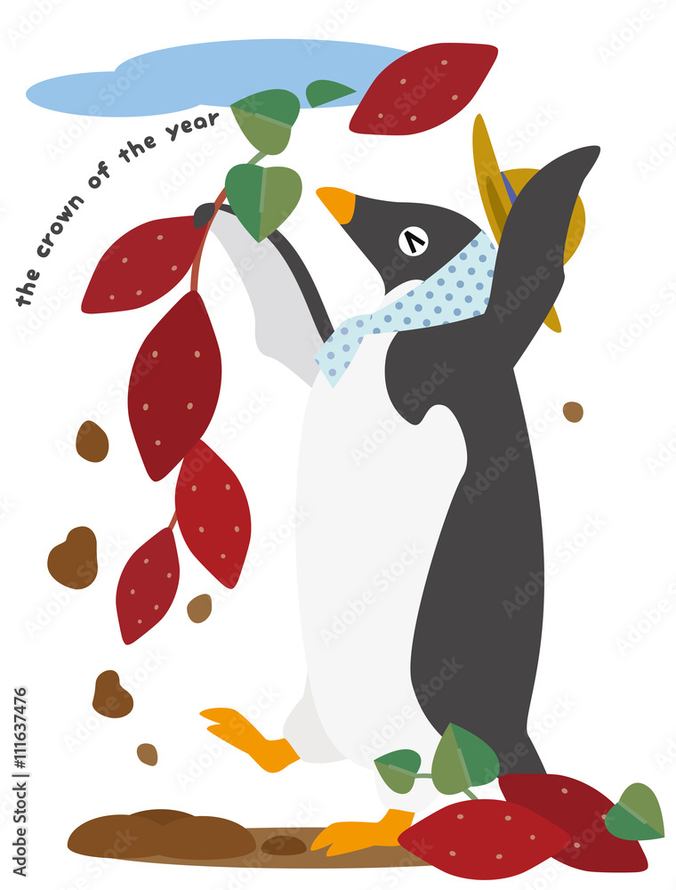 Fototapeta premium アデリーペンギン 秋の収穫