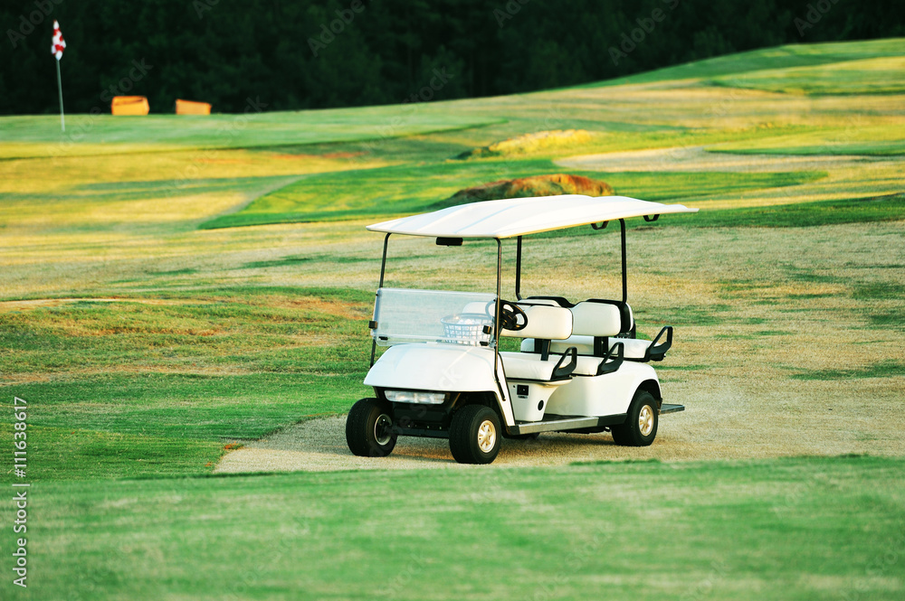 golf cart in the meadow of golf course