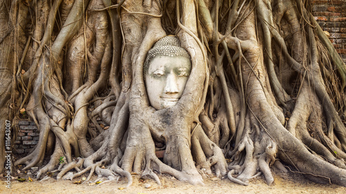 Buddha head in the tree roots at Wat Mahathat temple, Ayutthaya, Thailand.