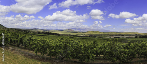 Fotografija Panoramic view of  golan heights
