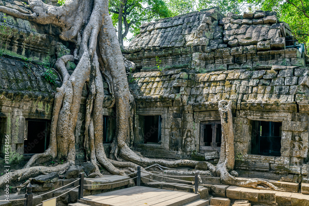The ruins of Ta Prohm Temple in Cambodia