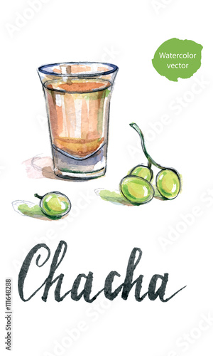 Glass of georgian vodka 