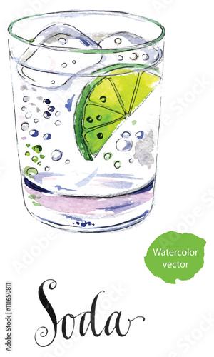 Soda glass with citrus segment and ice cubes