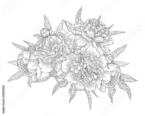 beautiful monochrome black and white bouquet peony isolated on background. . design greeting card and invitation of the wedding, birthday, Valentine's Day, mother's day and other holiday