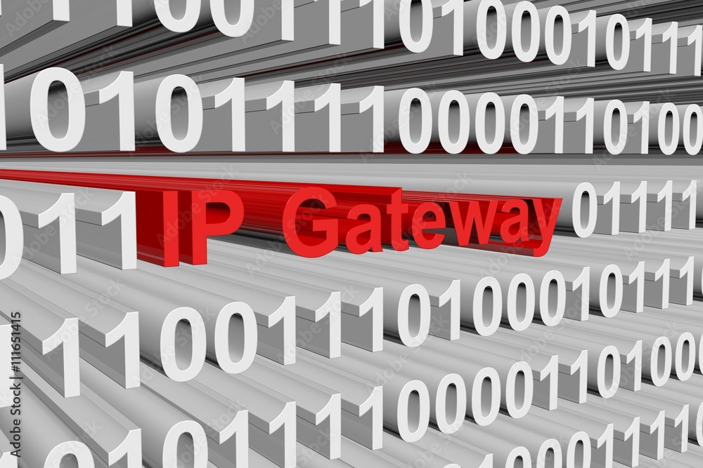 The IP gateway in the form of binary code, 3D illustration