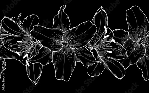 Beautiful monochrome, black and white seamless horizontal frame element of lily flowers.
