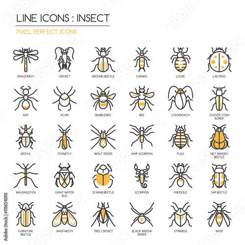 Insect , thin line icons set ,pixel perfect icon