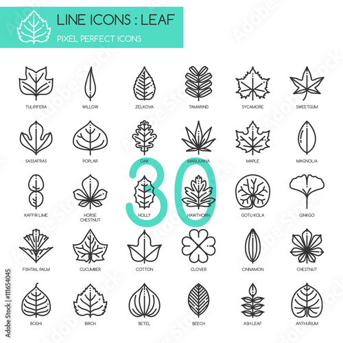 Leaf , thin line icons set ,pixel perfect icon