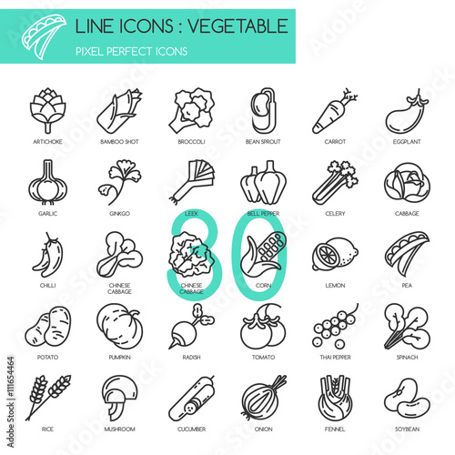 Vegetable , thin line icons set ,pixel perfect icon