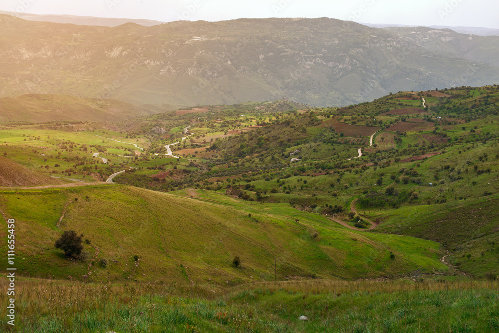 Obraz premium Green hills and the road