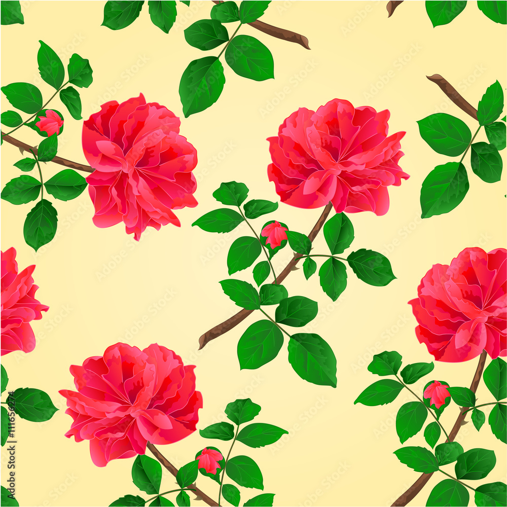 Seamless texture twig red rose with leaves and bud vector illustration Seamless texture twig red rose with leaves and bud vector illustration