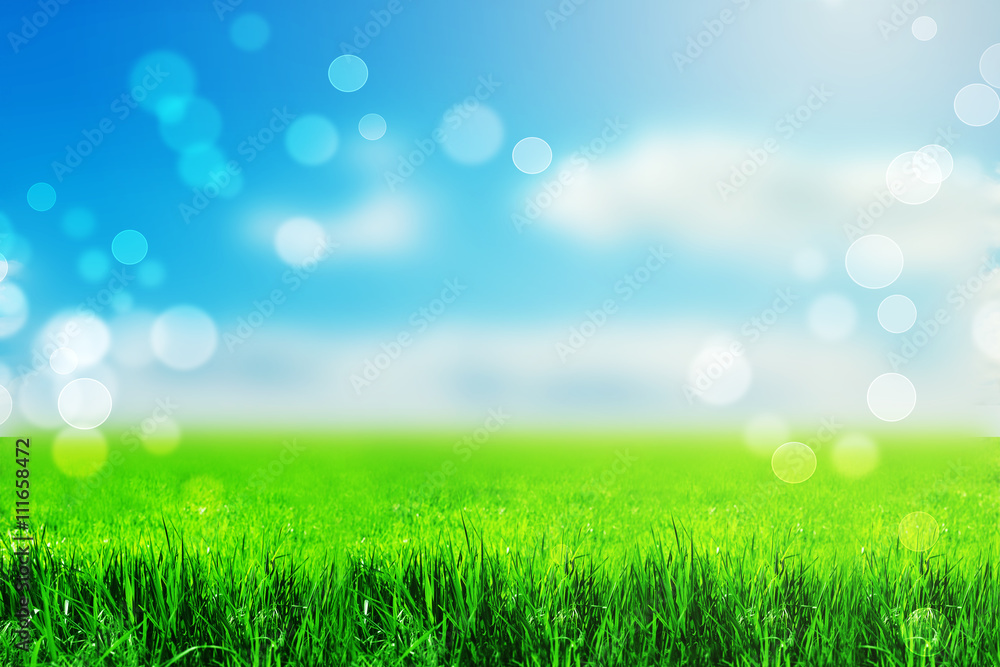 Spring or summer season abstract nature background with grass and blue sky in the background