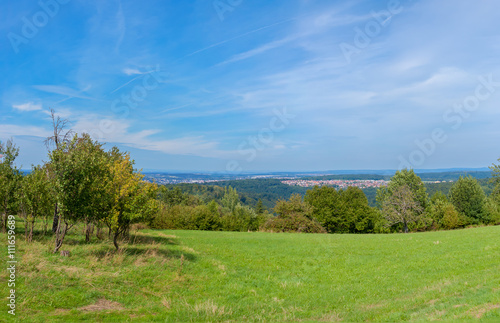 Panorama  Blick   ber Streuobstwiesen nach Pforzheim