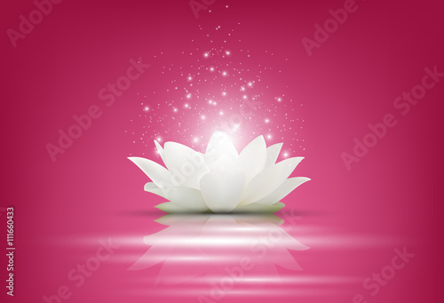 Fototapeta Naklejka Na Ścianę i Meble -  Magic White Lotus flower on pink background