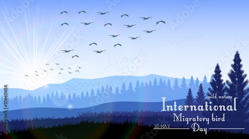 Birds migratory day with mountains and palm tree on sunrise background