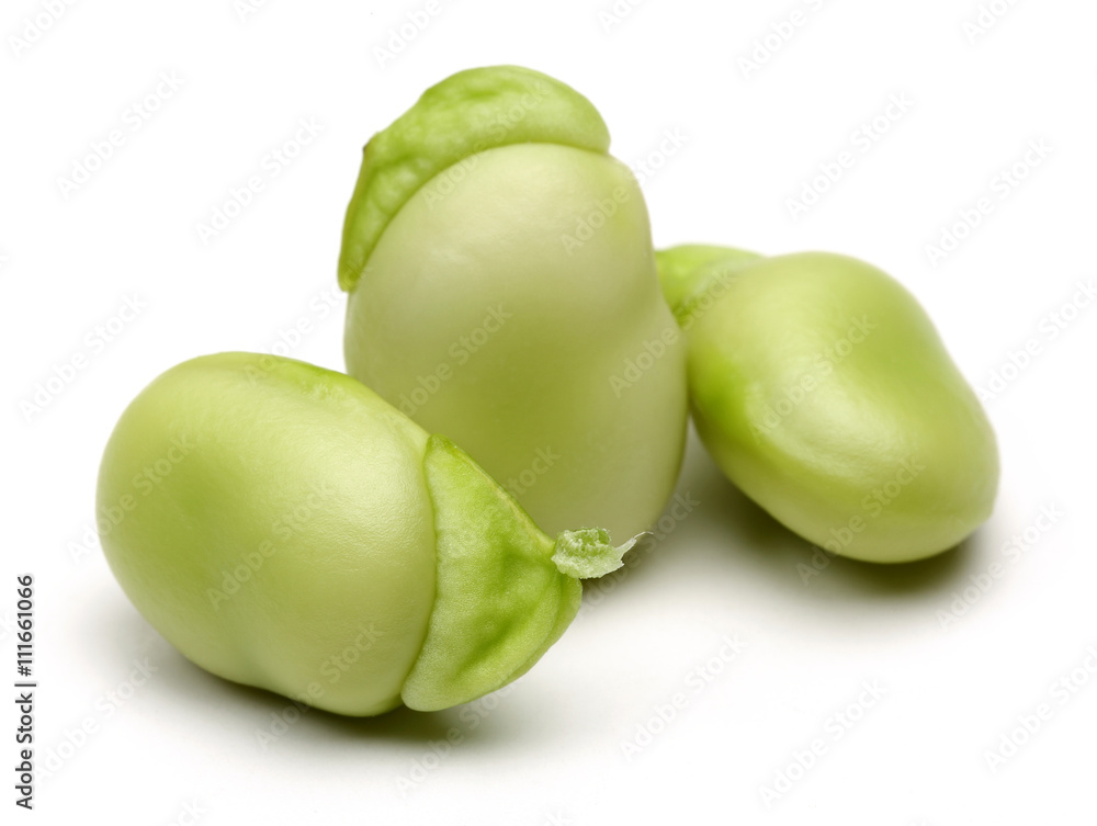 Peeled Broad Beans Peeled Broad Beans