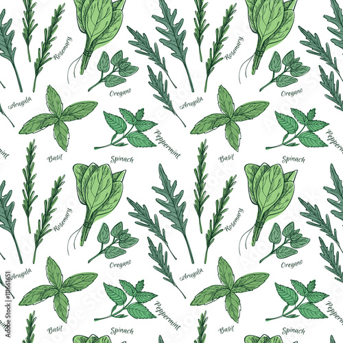 Hand drawn vector. Seamless pattern with herbs and spices. Trans