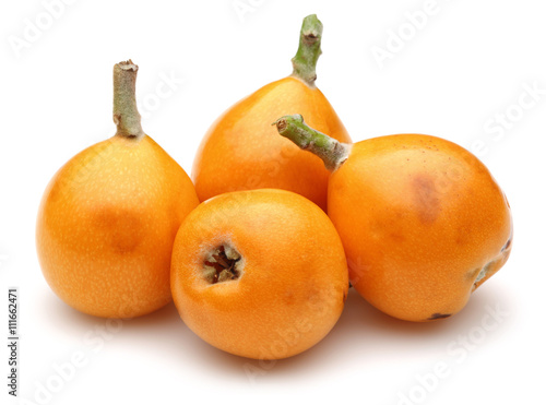 Loquat group