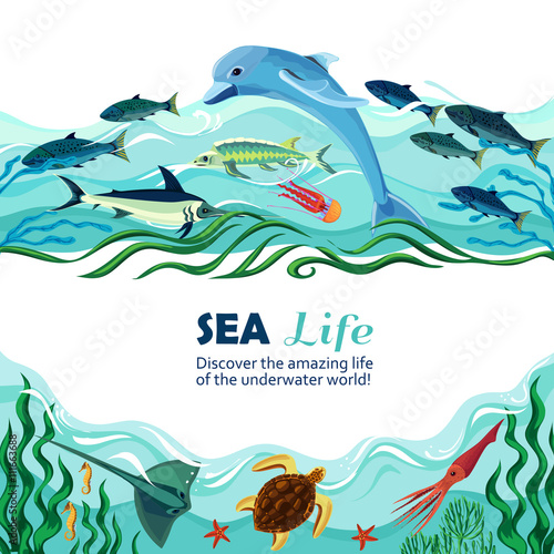 Sea Underwater Life Cartoon Illustration